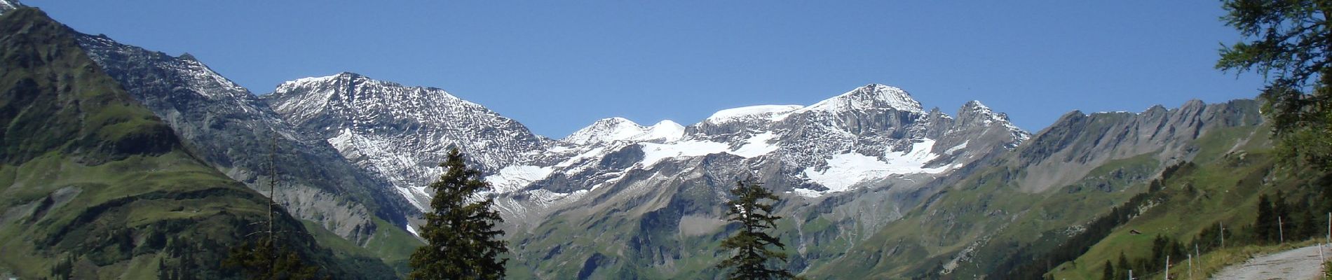 Tour Zu Fuß Pfäfers - Malanseralp - Brennboden - Photo