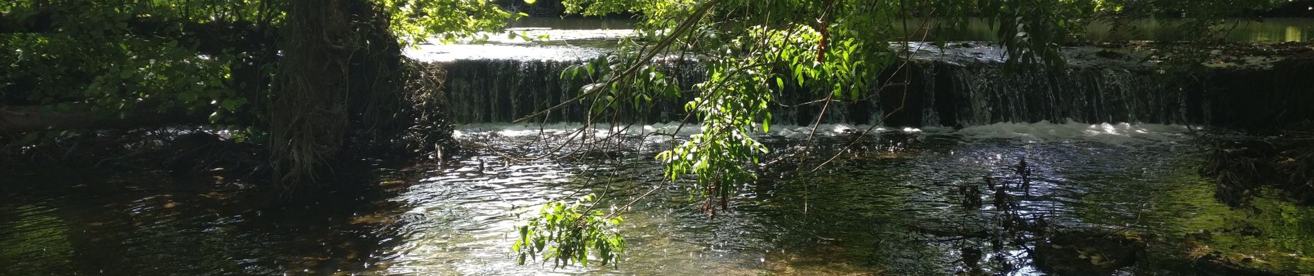 Tour Wandern Chauray - 2019--08-07 Marche 13 km - st gelais, queray - Photo