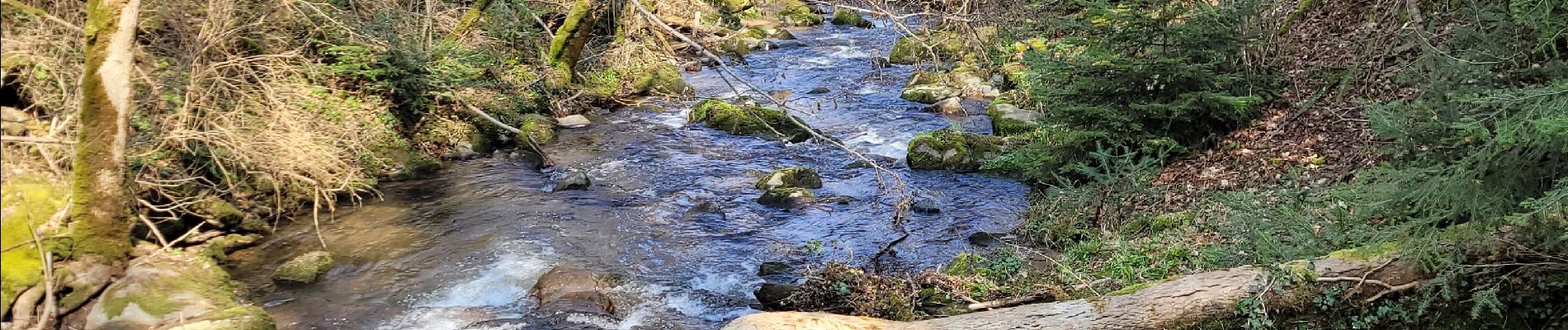 Tocht Stappen Olloix - Olloix_Gorges-La-Monne_T - Photo