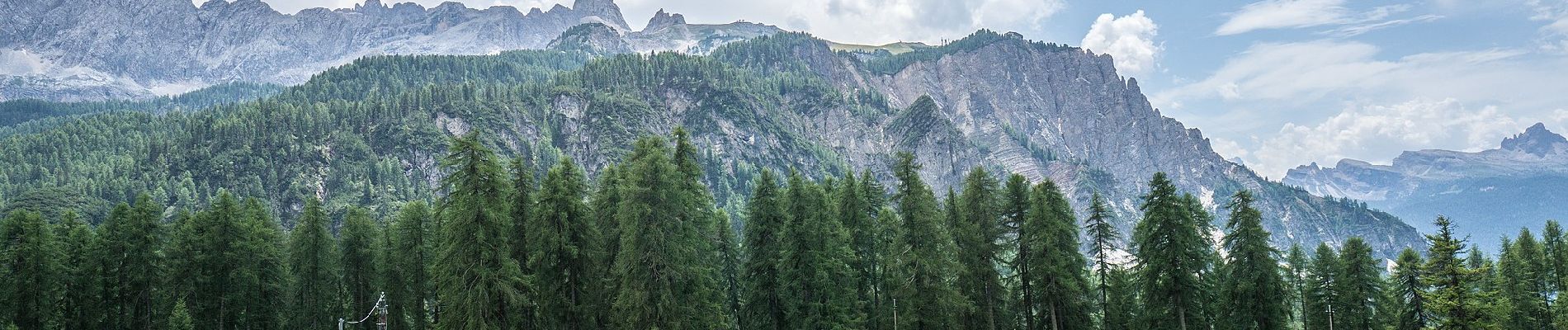 Trail On foot Cortina d'Ampezzo - Sentiero C.A.I. 211 - Photo