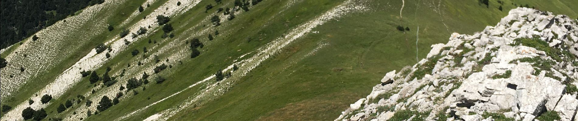 Tour Wandern Châtillon-en-Diois - Mont Barral - Photo