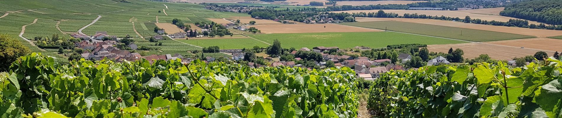 Percorso Marcia Charly-sur-Marne - Circuit des éoliennes de la Picoterie - Photo