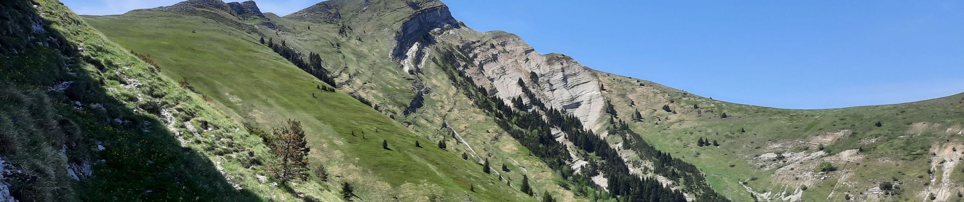 Tocht Stappen Lus-la-Croix-Haute - Antécime de La Toussière - Photo