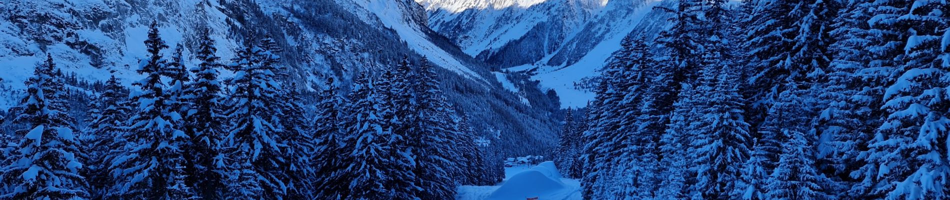 Randonnée Raquettes à neige Pralognan-la-Vanoise - Fontanettes en boucle  - Photo