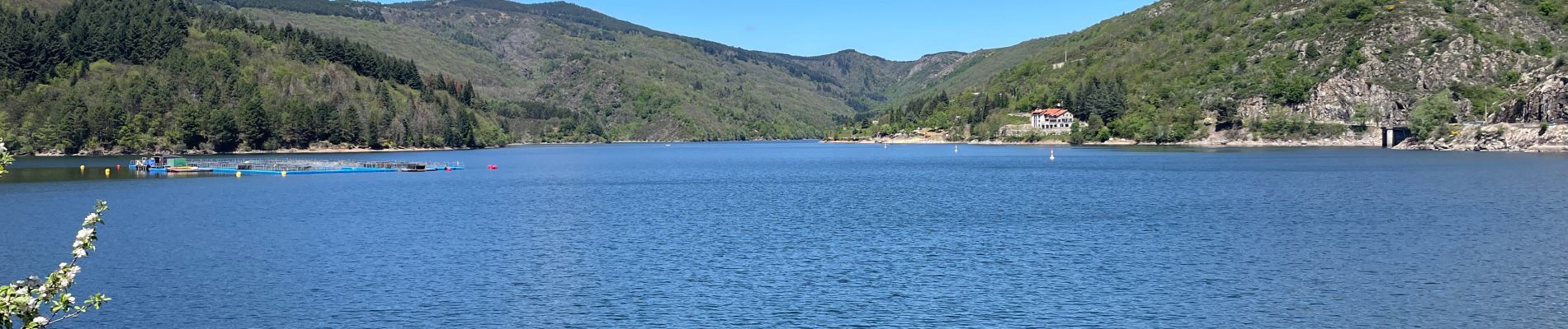 Excursión Senderismo Villefort - Tour du lac de Villefort - Photo