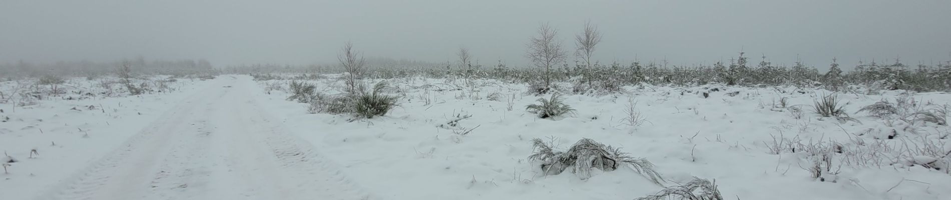 Tocht Stappen Houffalize - rando pisserotte 27-01-2023 - Photo