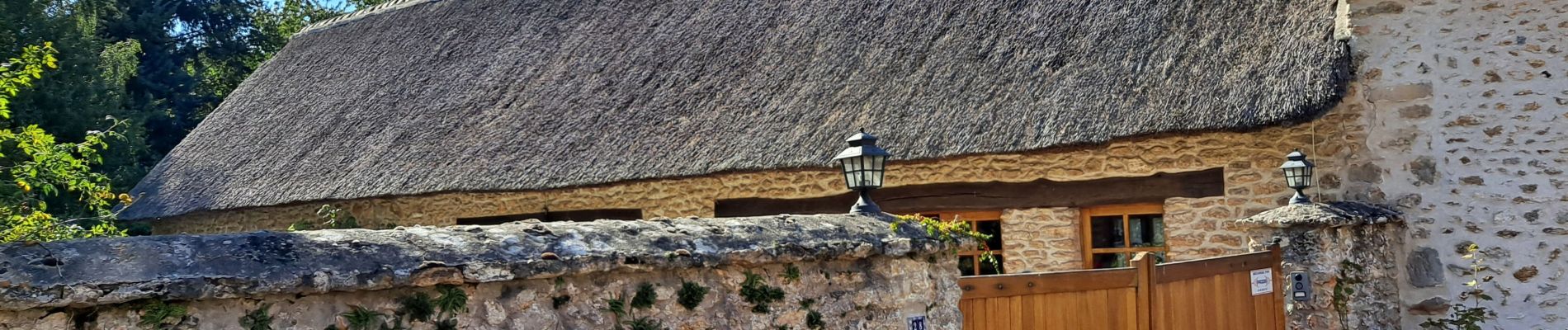 Tour Wandern Bazoches-sur-Guyonne - Bazoches - Photo