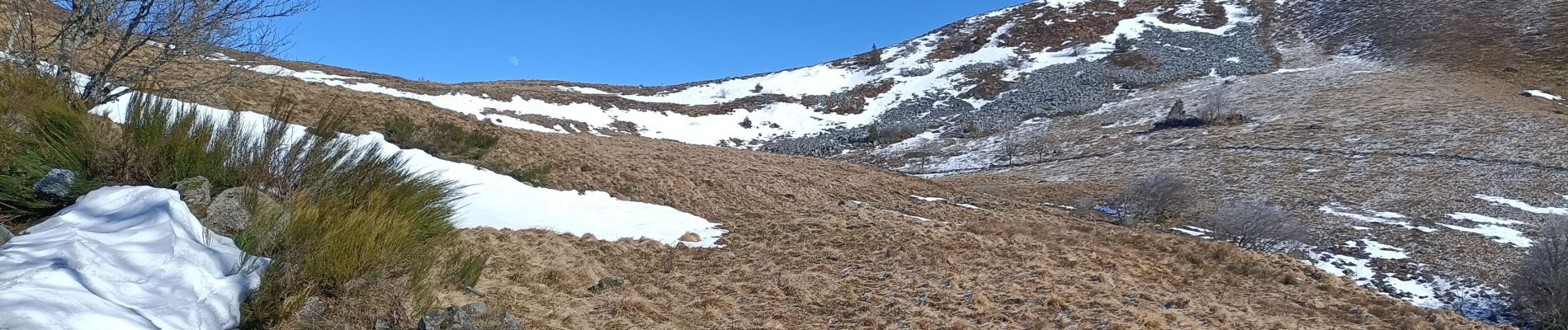 Tour Nordic Walking Murat-le-Quaire - Puy gros - Photo