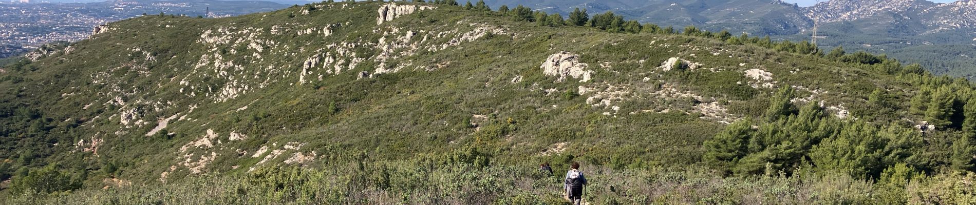 Trail Walking Allauch - La Paloire Rando Tamalous - Photo