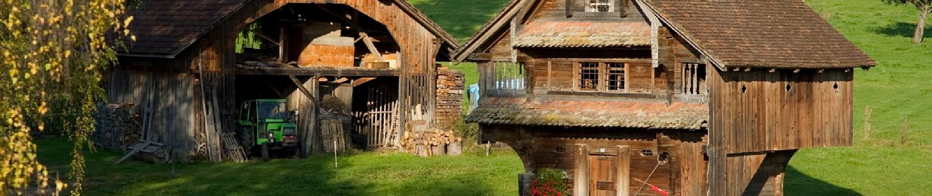 Percorso A piedi Grosswangen - Oberdorf - Dogelzwil - Photo