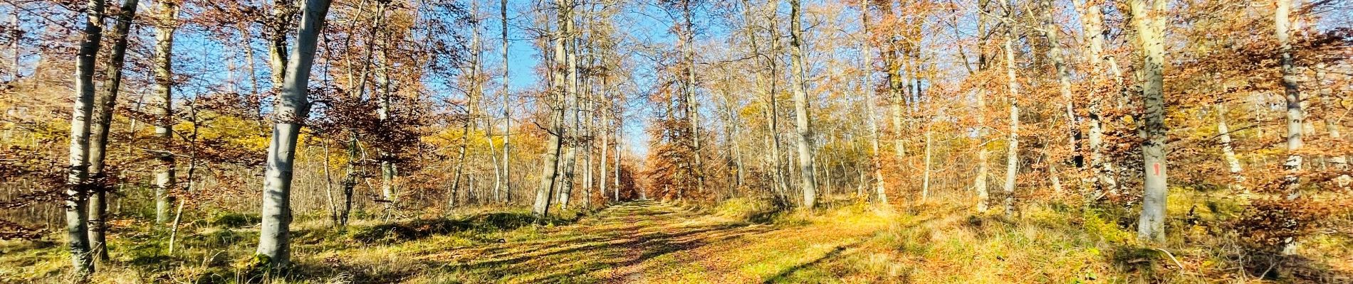 Punto di interesse Compiègne - Unnamed POI - Photo