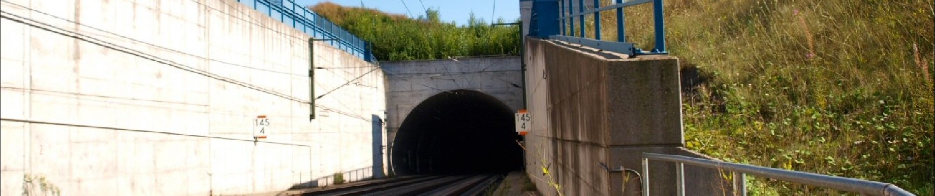 Percorso A piedi Sconosciuto - Auringer Rundwanderweg - Photo