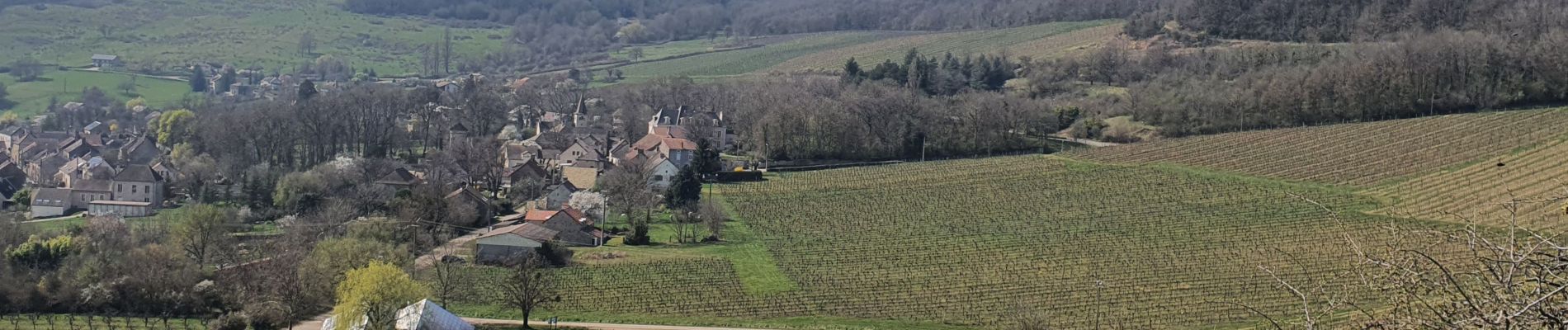 Randonnée Marche Baubigny - 25-03-2022 Baubigny - Saint Romain  - Photo