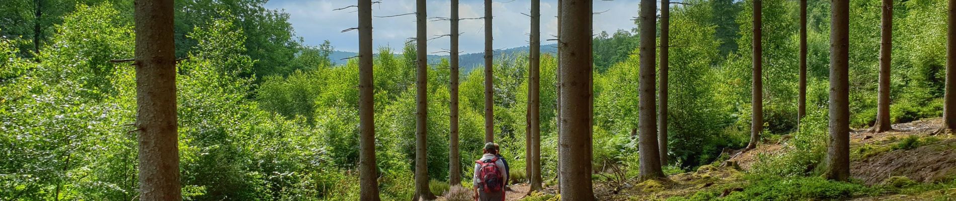 Excursión Senderismo Viroinval - Balade à Oignies-en-Thiérache - Le Ry d'Alise - Photo