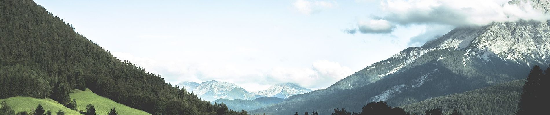 Excursión A pie Ramsau bei Berchtesgaden - Wanderweg 71 (Rund um den Taubensee) - Photo