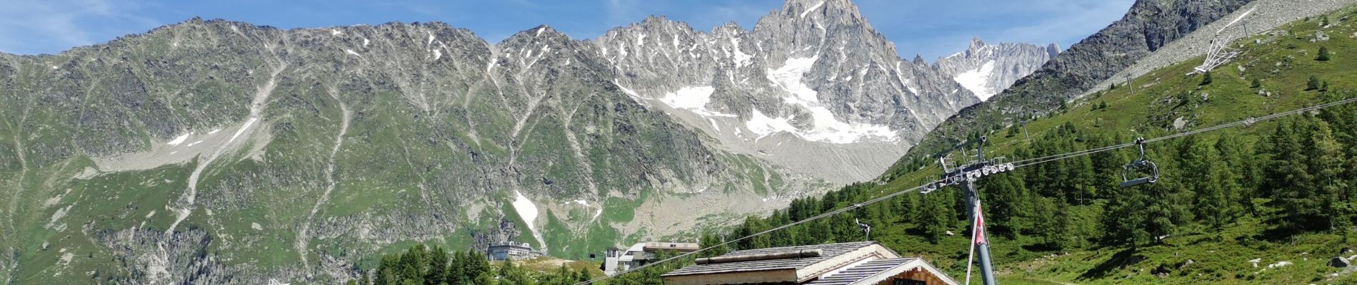 Tocht Stappen Chamonix-Mont-Blanc - col de lognan-chamonix - Photo