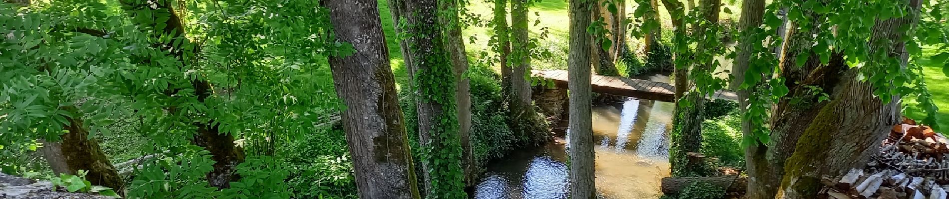 Randonnée Marche Pargny-la-Dhuys - Pargnys la Dhuys  - Photo