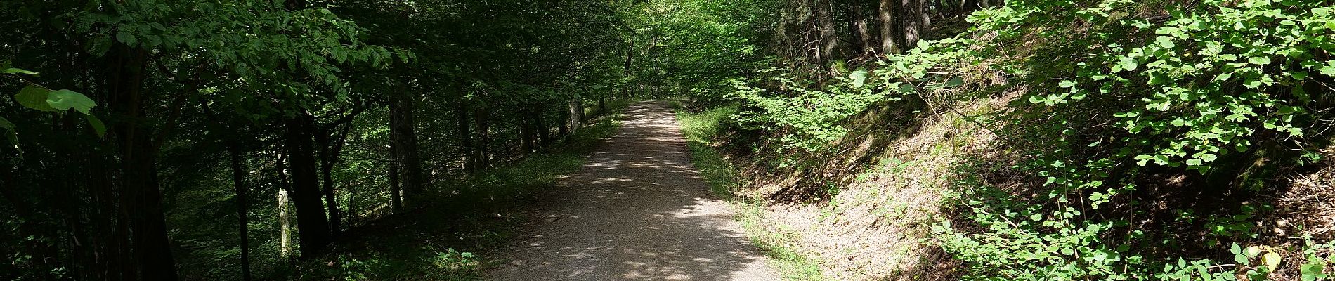 Percorso A piedi Heimbach - Jägerpfad - Photo