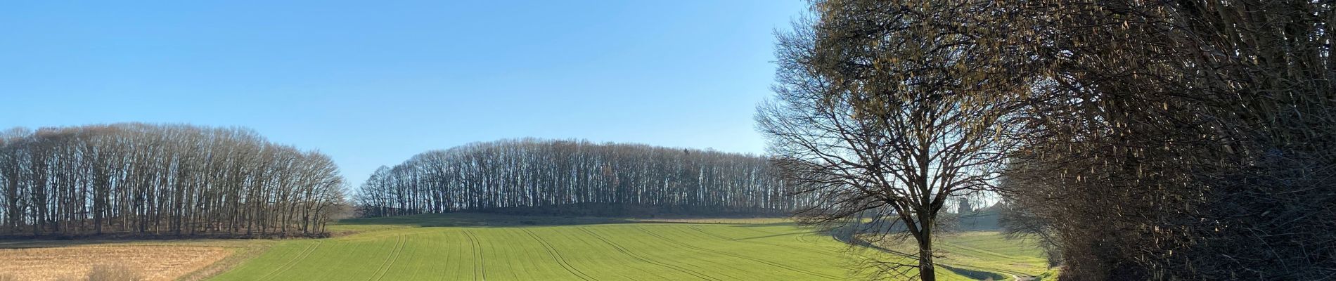 Tour Wandern Huldenberg - Ottemburg  - réserve naturelle de Rodebos - Photo