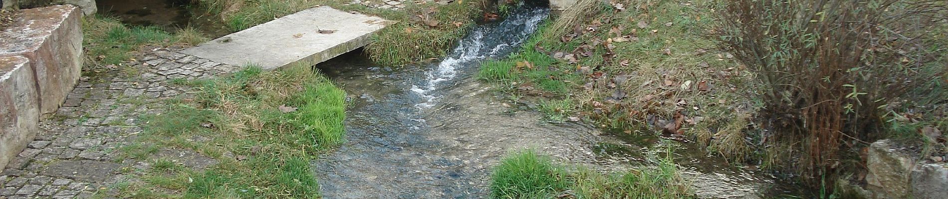 Tour Zu Fuß Pilsach - Pechtalweg - Photo