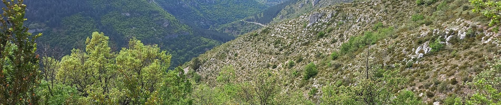 Punto de interés Gorges du Tarn Causses - Tonnes juste qq toits sur la gauche  - Photo