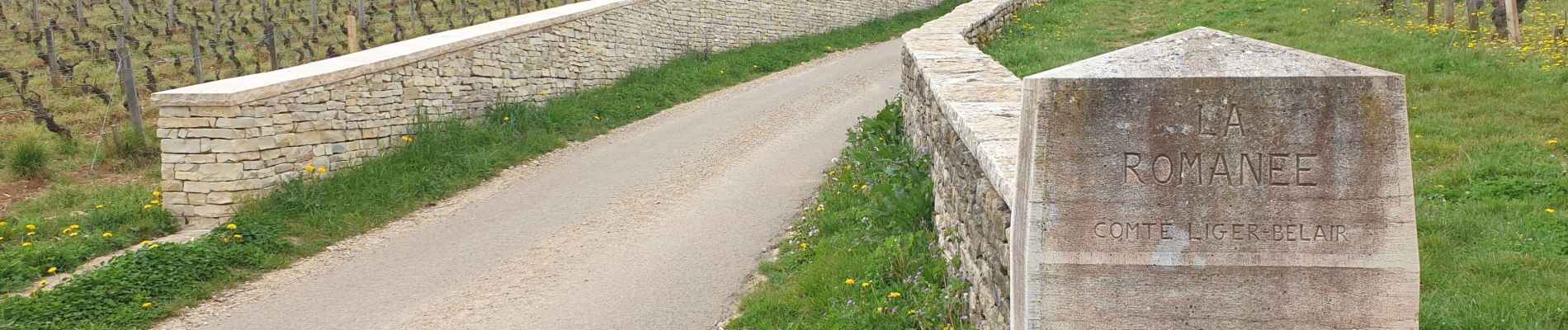 Tour Wandern Vougeot - Clos Vougeot - Photo