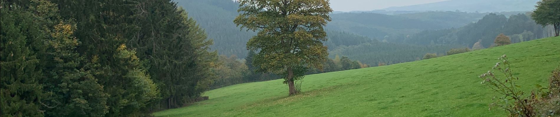 Excursión Senderismo Stavelot - A la découverte de la région de stavelot - Photo