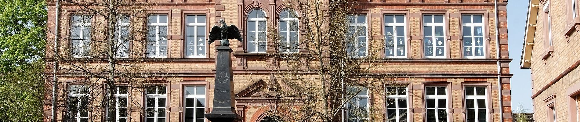 Randonnée A pied Schaafheim - Rundwanderweg Schaafheim 2 : Schlossberg-Weg - Photo