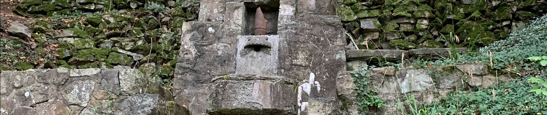 Randonnée Marche Soultz-Haut-Rhin - Randonnée vers le Vieil Armand - Photo