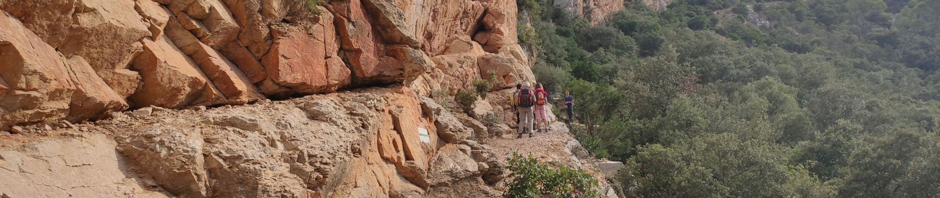 Tour Wandern Cabasse - Autour de Cabasse - Photo