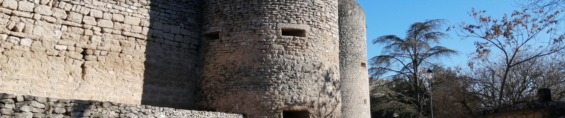 Tour Wandern Cabrières-d'Avignon - le mur de la peste château petraque - Photo