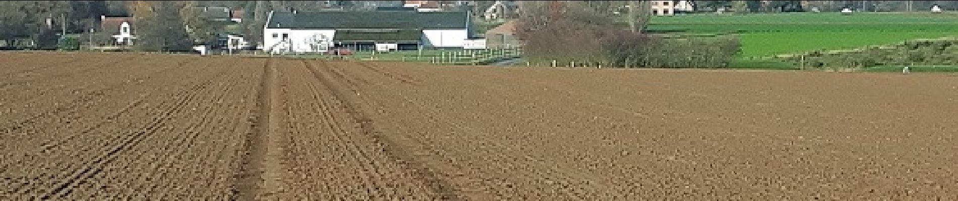 Punto de interés Villers-la-Ville - Vue sur le Château d'eau et le Haras de Sart-Dames-Avelines - Photo