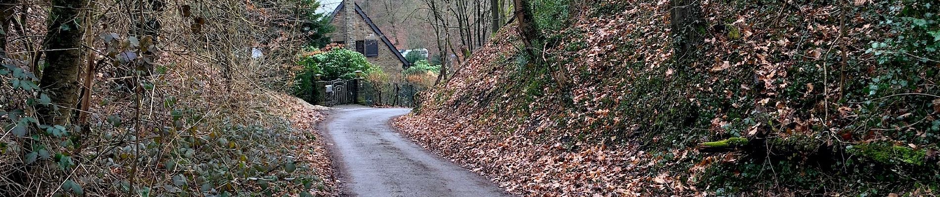 Tocht Te voet Onbekend - Naturfreundeweg Ruhrtalhaus - Werden - Tönisheide - Photo