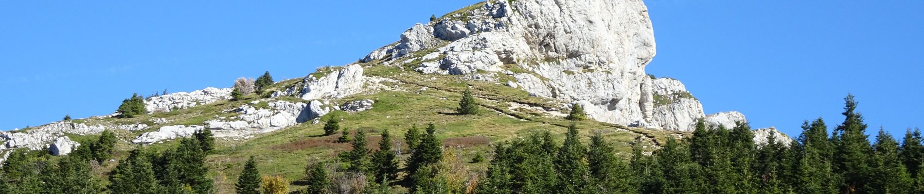 Randonnée Marche Lans-en-Vercors - Pic Saint-Michel - Photo