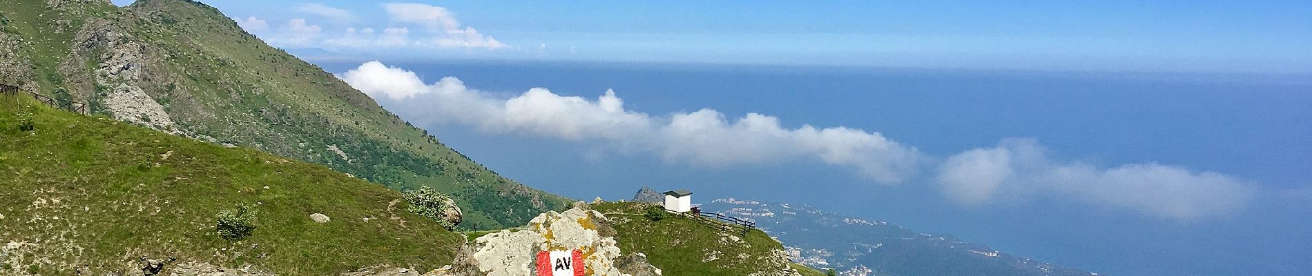 Tour Zu Fuß Cogoleto - Sciarborasca-Prato Rotondo - Photo