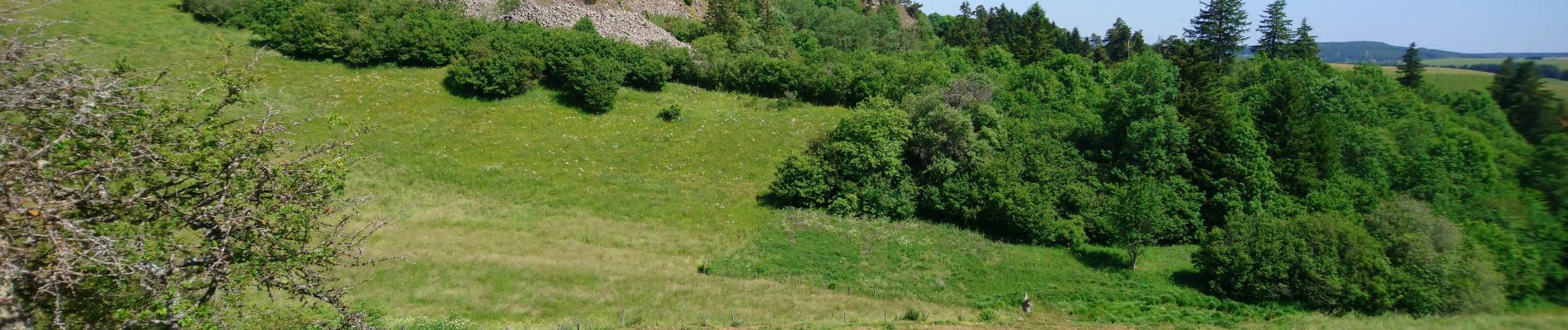 Tour Wandern Landeyrat - Cantal - Landeyrat - La Roche - 12km 180m 3h35 - 2019 06 28 - Photo