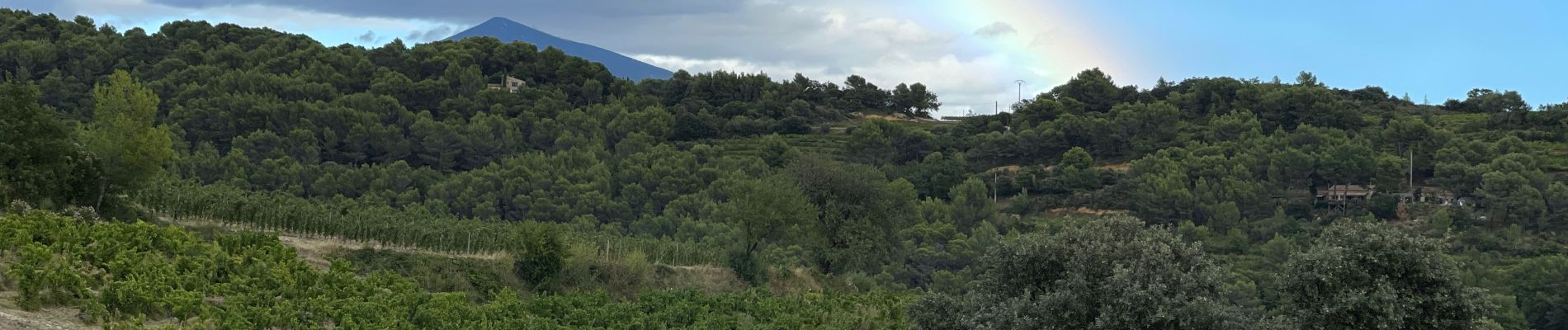 Excursión Senderismo Lafare - Les dentelles de montmirail  - Photo