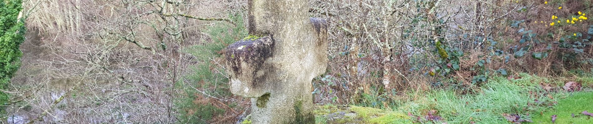 Excursión Senderismo Muzillac - Muzillac: Circuit des Chouans (officiel) - Photo