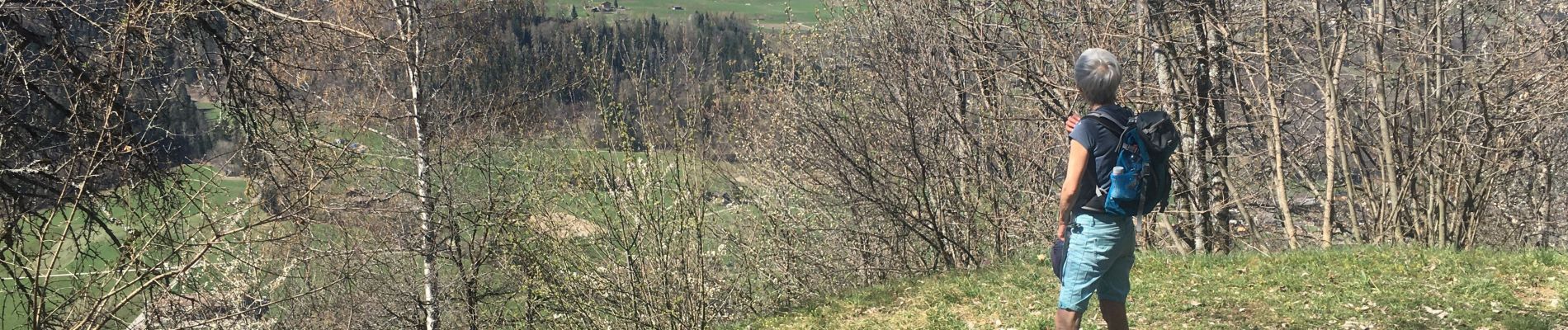 Randonnée Marche Val de Bagnes - Le  Châble-Sarrayer-Route de Soleil - Photo