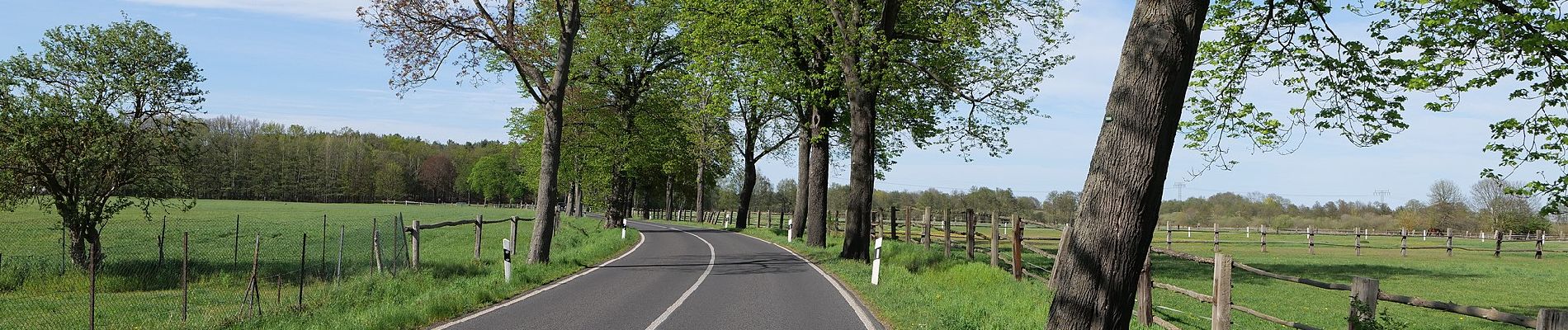 Randonnée A pied Zossen - Rundwanderweg Schünow - Horstfelde - Photo