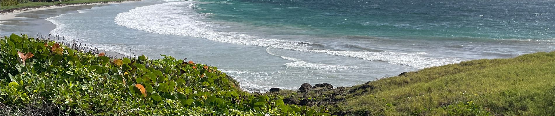 Tocht Noords wandelen Sainte-Anne - Trace des baies cap chevalier - Pointe Marin  - Photo