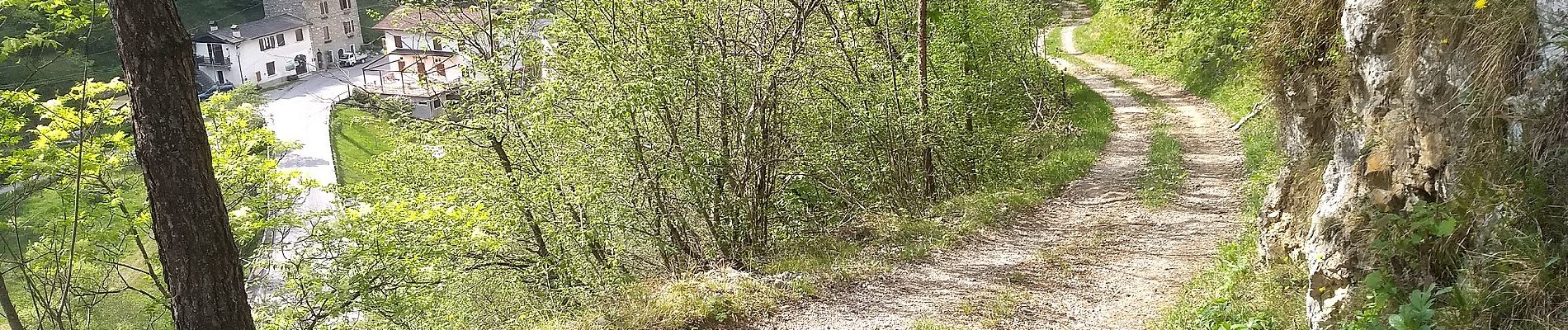 Tocht Te voet Capovalle - Capovalle - Passo di Vesta - Photo