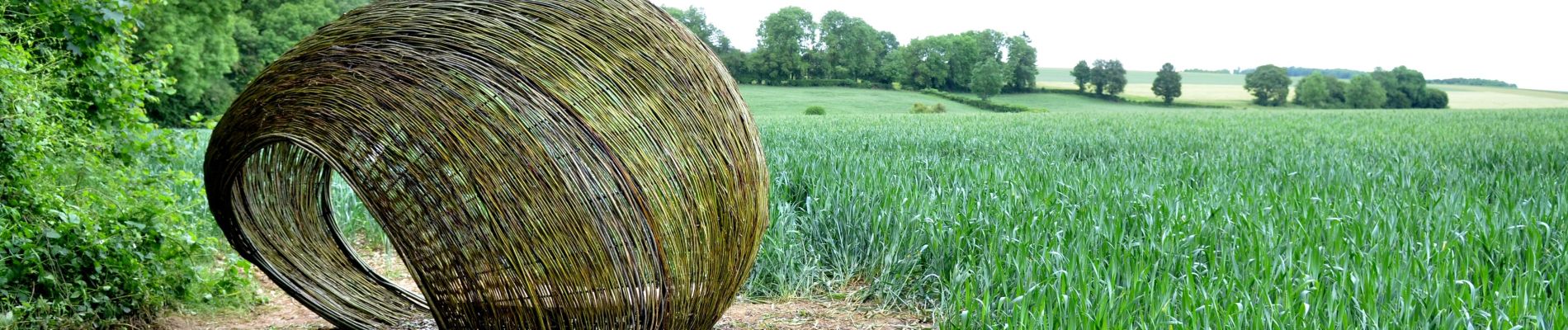 Tocht Stappen Gesves - SENTIERS D'ART - Grande randonnée - Assesse, Ciney, Gesves, Hamois, Havelange, Ohey et Somme-Leuze - Photo