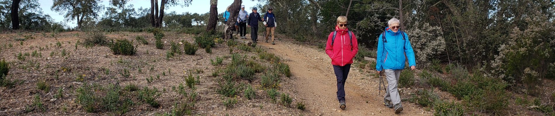 Tour Wandern Les Arcs-sur-Argens - la forêt des Apiés - Photo