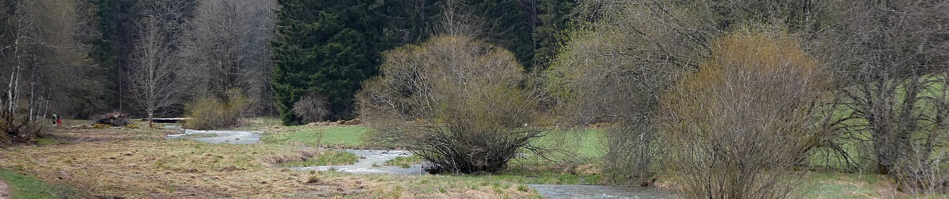 Tocht Te voet Mouthe - Les Roches - Photo