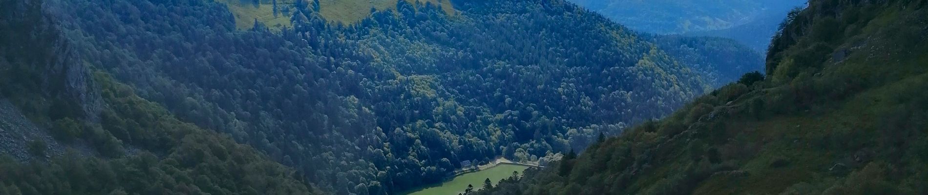 Excursión Senderismo La Bresse - Le Hohneck et ses environs - Photo