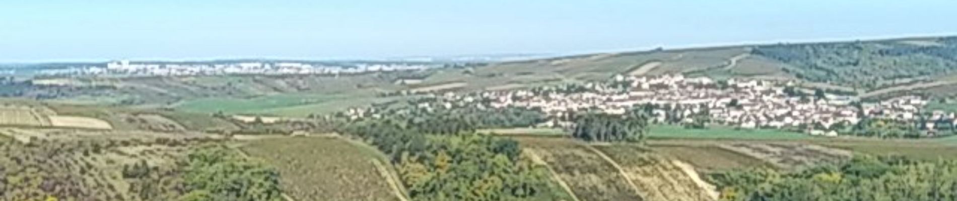 Randonnée Marche Saint-Bris-le-Vineux - AVF - Tour par les caves de Bailly 05-10-2022 - Photo