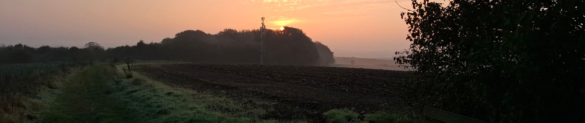 Tocht Stappen Saulny - saulny grands journeaux  - Photo