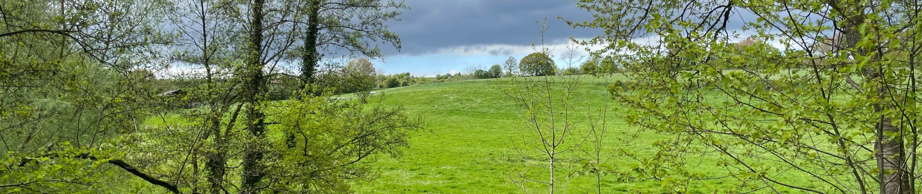 Tour Wandern Chastre - Chastre hevillers - Photo