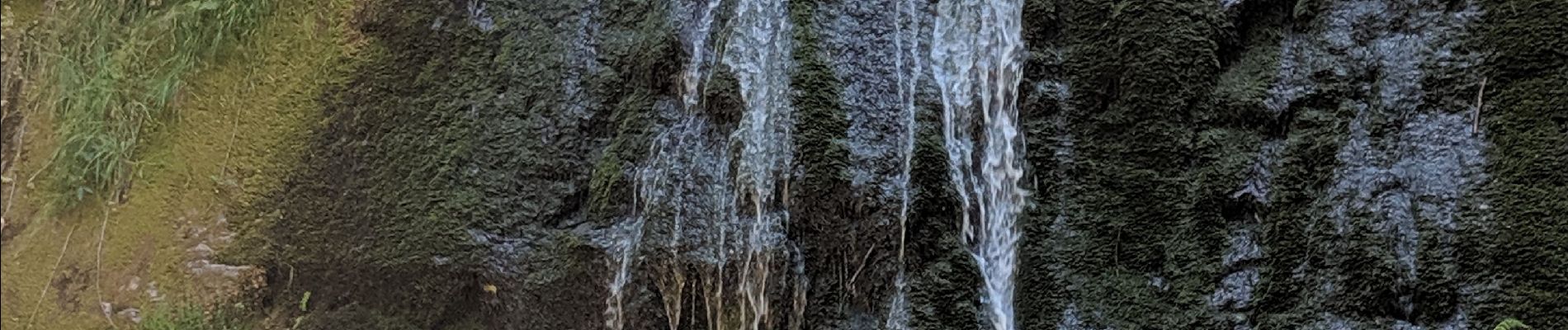 Tocht Stappen Vagney - Le Haut du Tôt - Photo